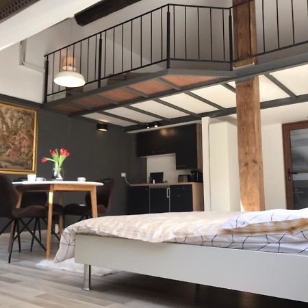 Savoya Nr2 Loft Studio Old City Center Self Check-In Workspace Timişoara Buitenkant foto