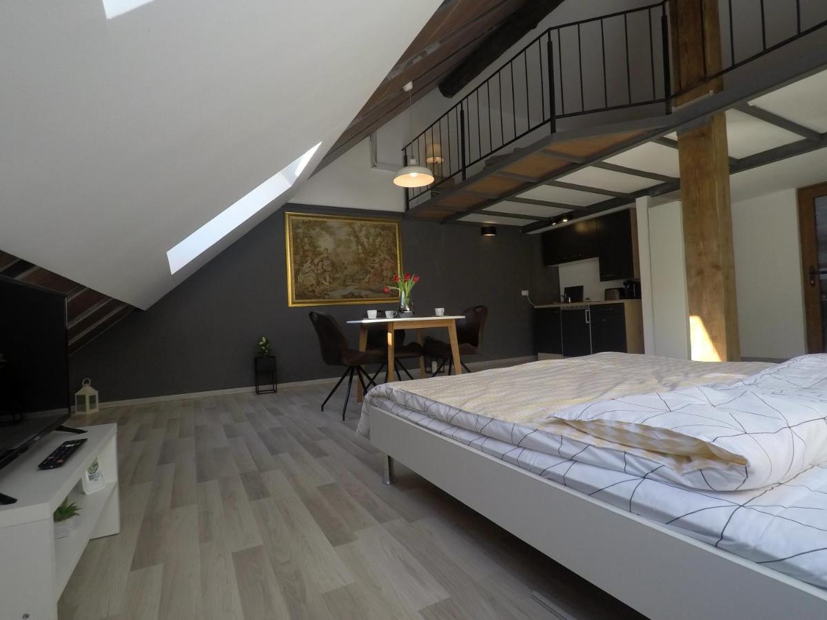 Savoya Nr2 Loft Studio Old City Center Self Check-In Workspace Timişoara Buitenkant foto