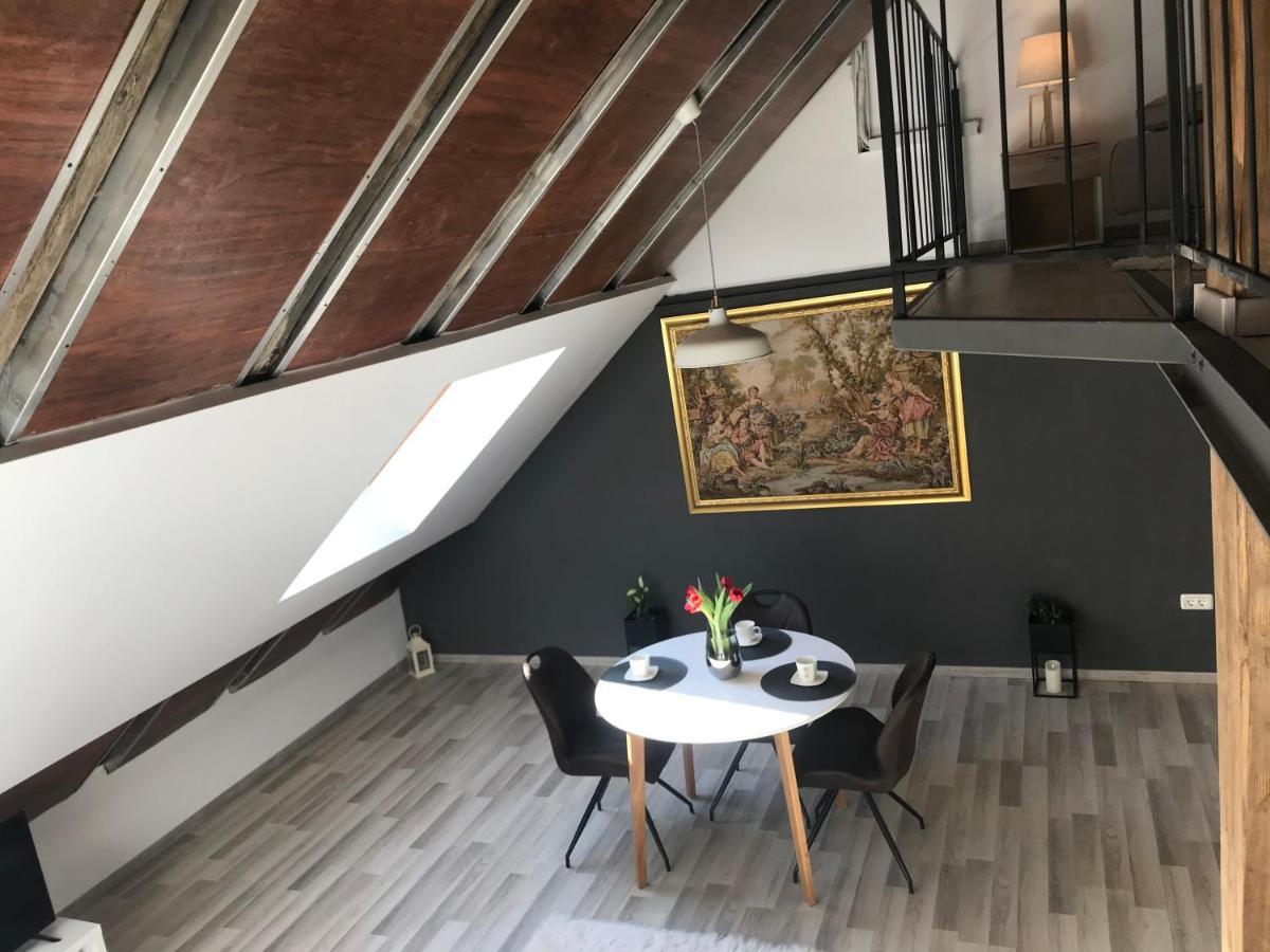 Savoya Nr2 Loft Studio Old City Center Self Check-In Workspace Timişoara Buitenkant foto