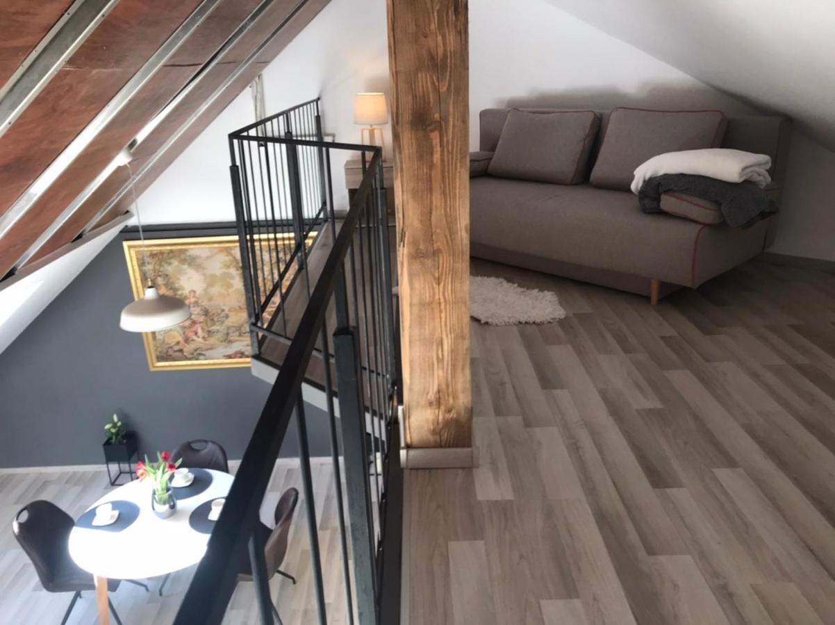 Savoya Nr2 Loft Studio Old City Center Self Check-In Workspace Timişoara Buitenkant foto