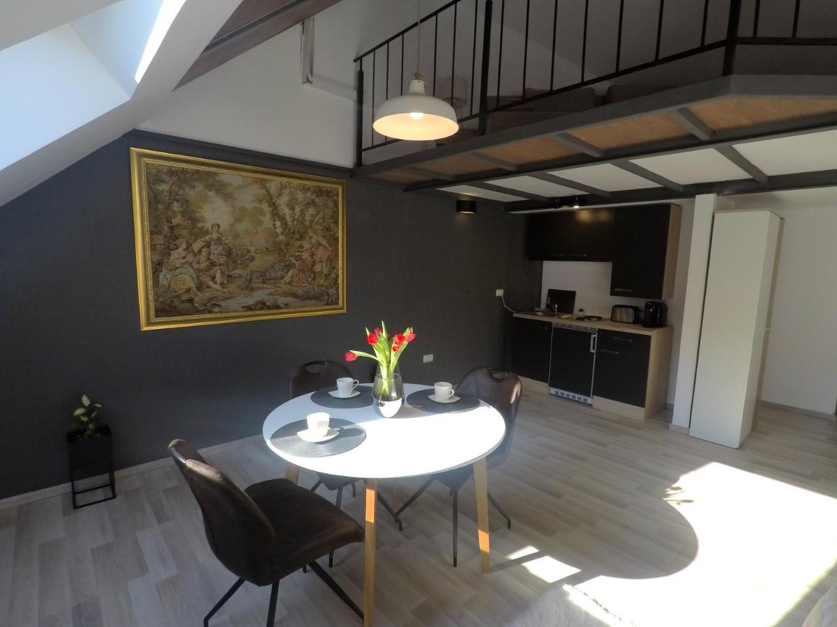 Savoya Nr2 Loft Studio Old City Center Self Check-In Workspace Timişoara Buitenkant foto