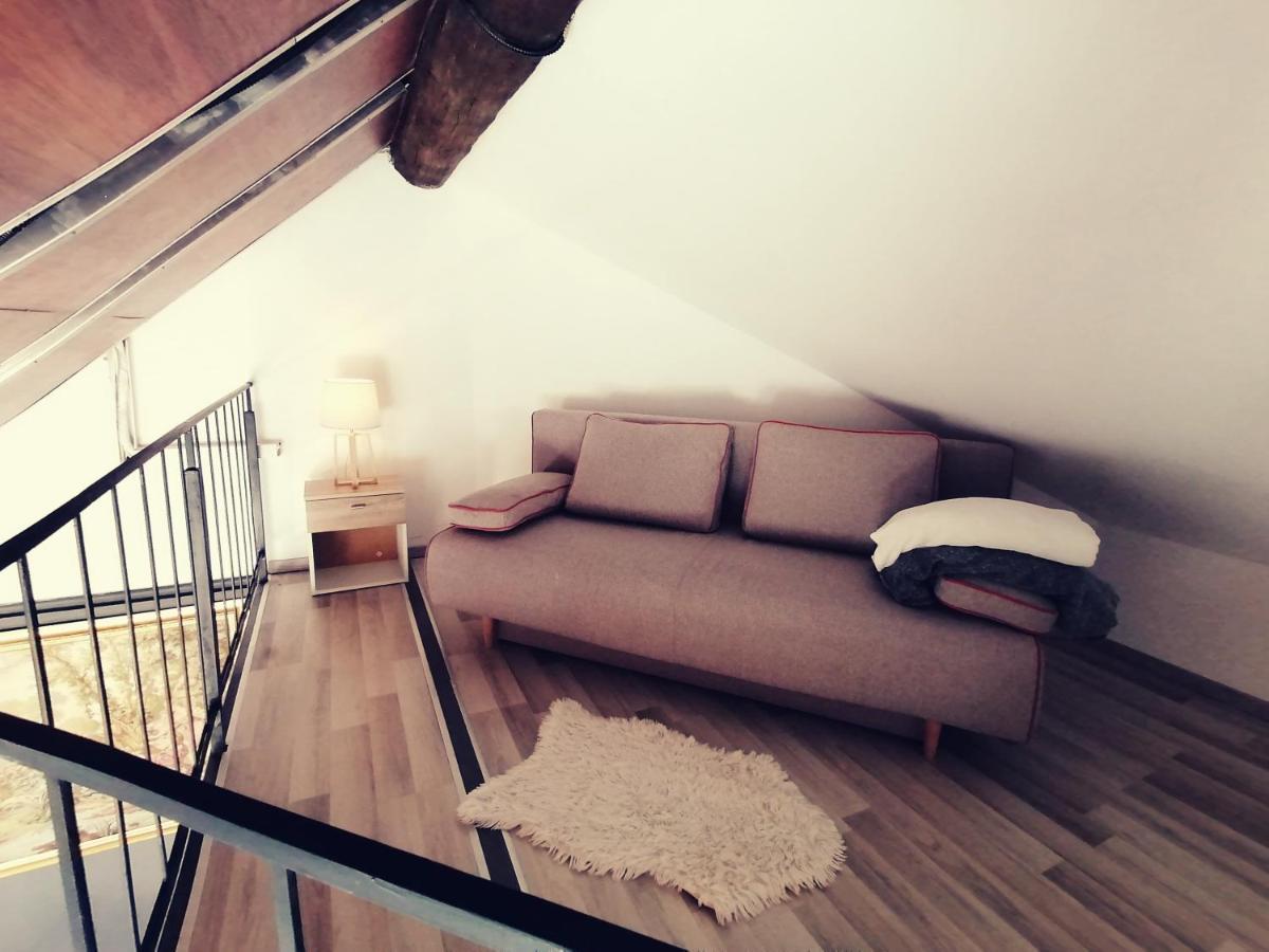 Savoya Nr2 Loft Studio Old City Center Self Check-In Workspace Timişoara Buitenkant foto