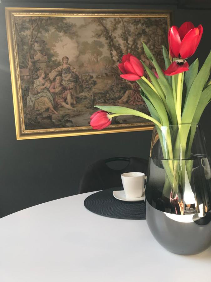 Savoya Nr2 Loft Studio Old City Center Self Check-In Workspace Timişoara Buitenkant foto