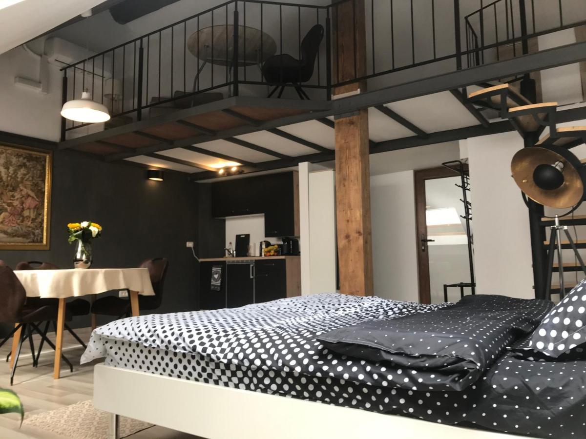 Savoya Nr2 Loft Studio Old City Center Self Check-In Workspace Timişoara Buitenkant foto
