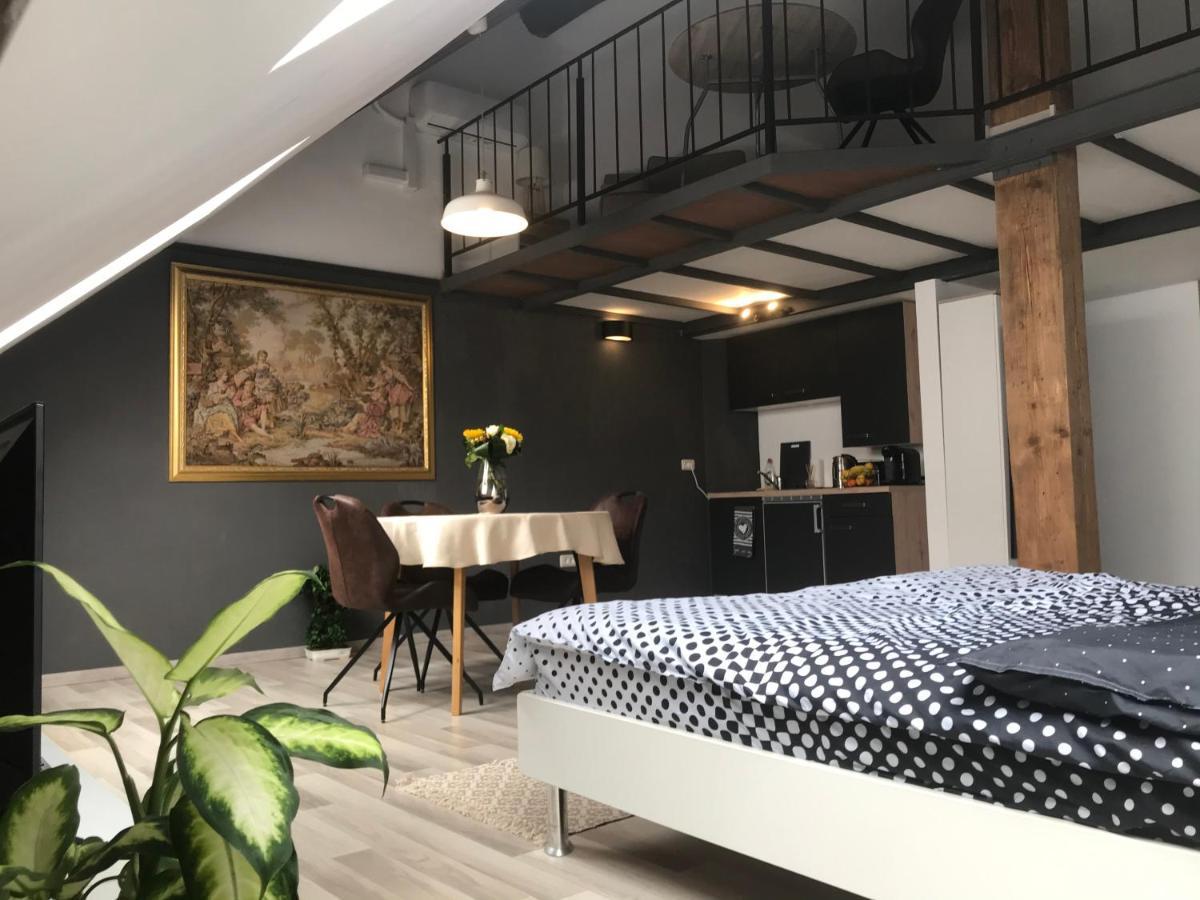 Savoya Nr2 Loft Studio Old City Center Self Check-In Workspace Timişoara Buitenkant foto