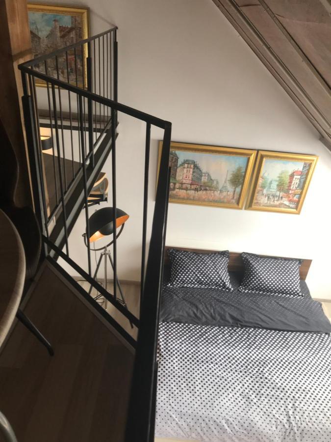 Savoya Nr2 Loft Studio Old City Center Self Check-In Workspace Timişoara Buitenkant foto
