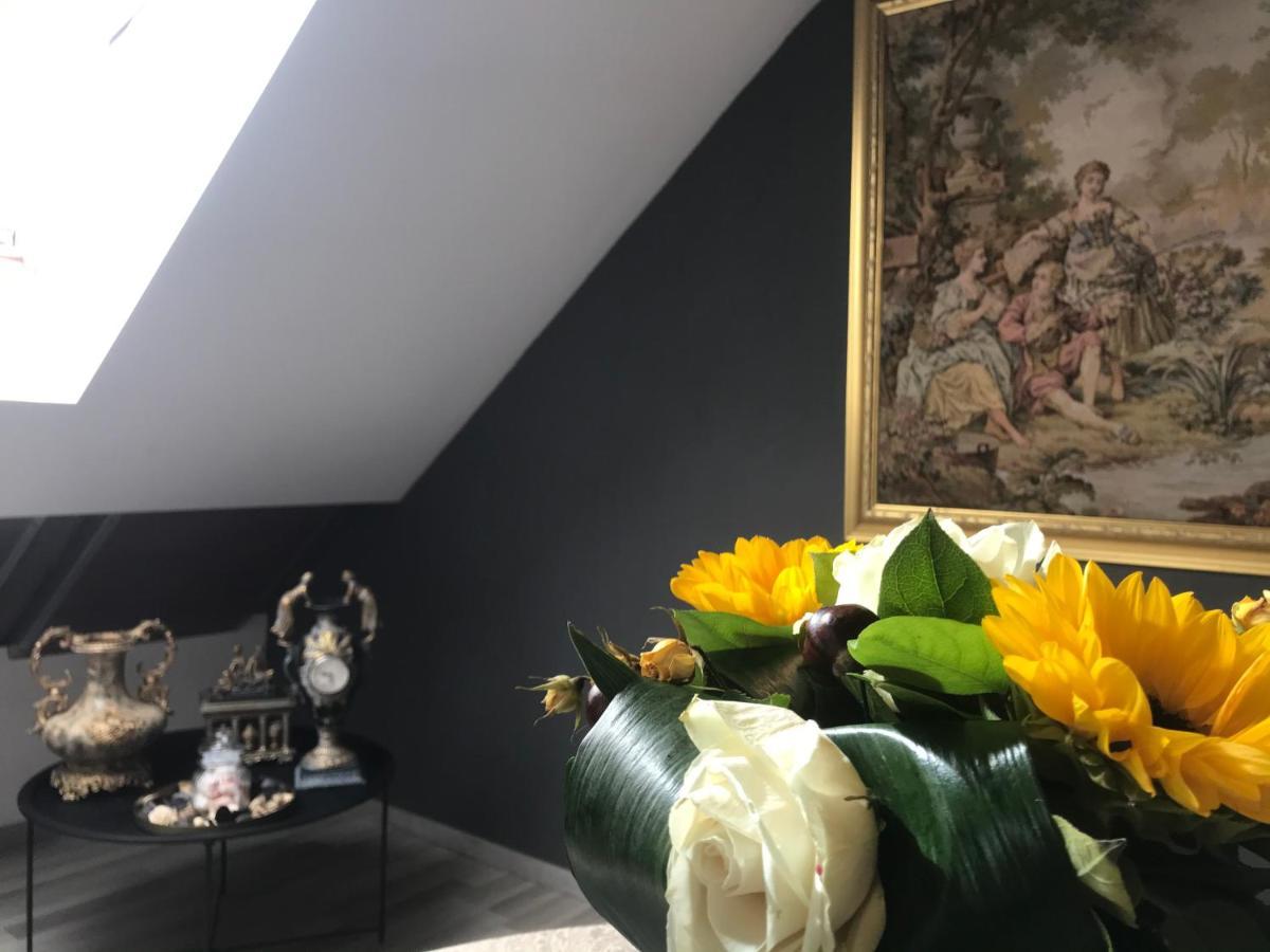 Savoya Nr2 Loft Studio Old City Center Self Check-In Workspace Timişoara Buitenkant foto