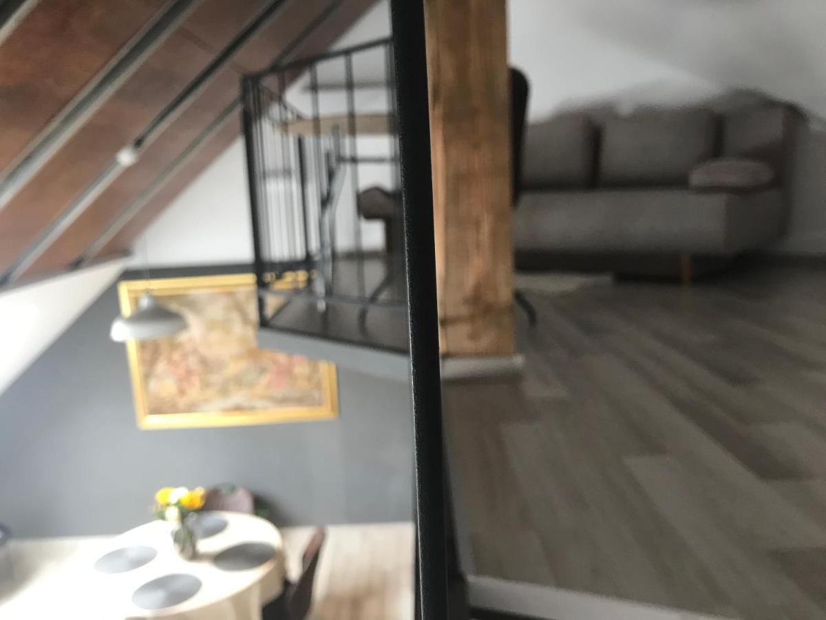 Savoya Nr2 Loft Studio Old City Center Self Check-In Workspace Timişoara Buitenkant foto
